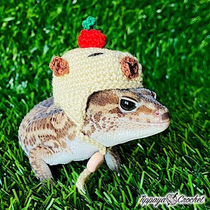 May include: A leopard gecko wearing a cream-colored crocheted hat with a red cherry on top and brown ear accents. The gecko is tan and brown with dark spots, and a beige string with a wooden bead is around its neck. The image is on a green grass background.