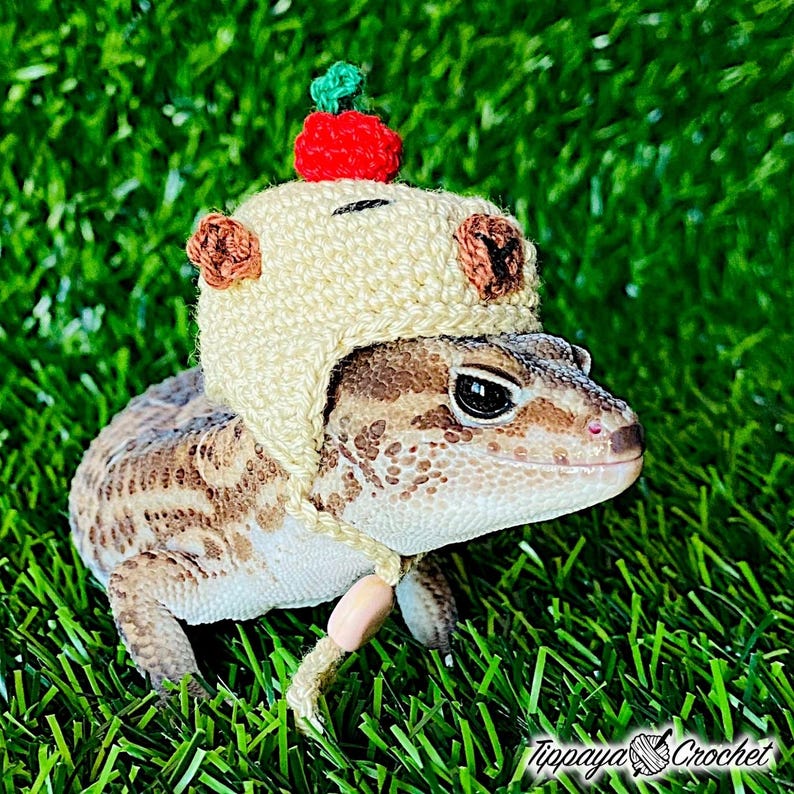 May include: A leopard gecko wearing a cream-colored crocheted hat with a red cherry on top and brown ear accents. The gecko is tan and brown with dark spots, and a beige string with a wooden bead is around its neck. The image is on a green grass background.