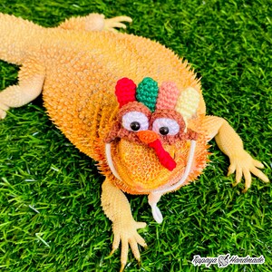 Crochet Headband Pattern for Bearded Dragon Set 4 - Etsy