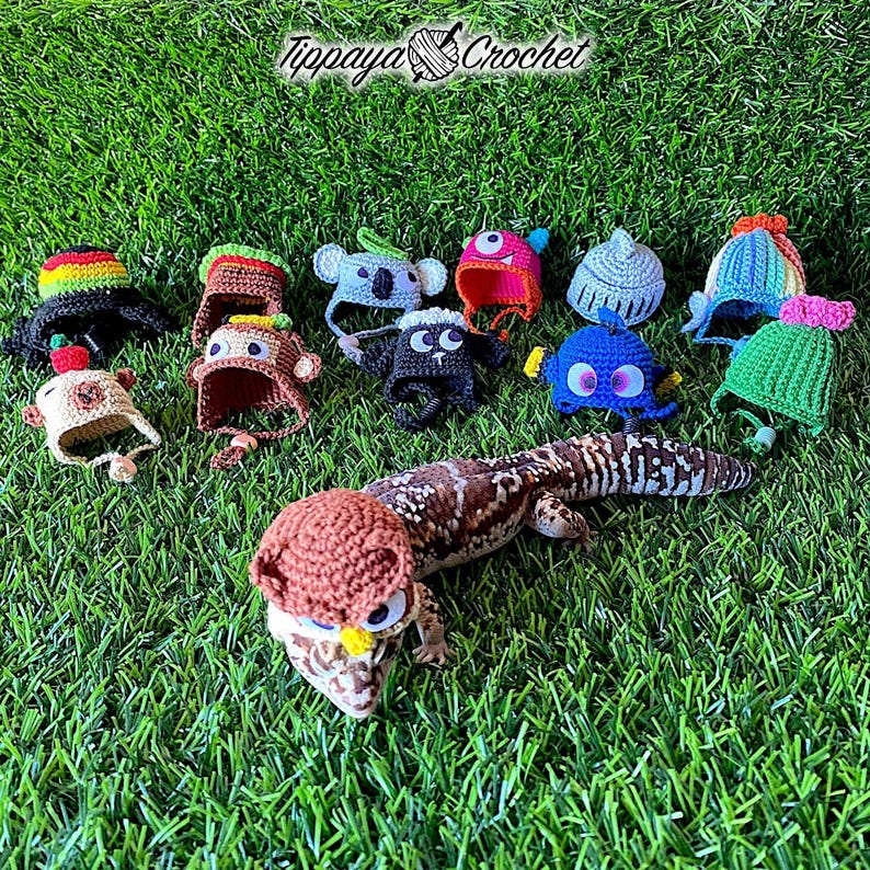 May include: A collection of colorful crochet hats in various animal designs, including a koala, monkey, and owl, displayed on a bed of green grass. A lizard is wearing a brown owl hat. The text "Tippaya Crochet" is at the top.