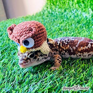 May include: A leopard gecko wearing a handmade brown crochet owl hat with large googly eyes and a yellow beak. The gecko is on a bed of green artificial grass. The hat is designed to look like an owl. The text "Tippaya Crochet" is in the bottom right corner.
