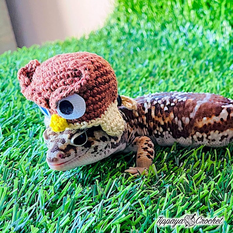 May include: A leopard gecko wearing a handmade brown crochet owl hat with large googly eyes and a yellow beak. The gecko is on a bed of green artificial grass. The hat is designed to look like an owl. The text "Tippaya Crochet" is in the bottom right corner.