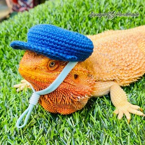 Crochet Headband Pattern for Bearded Dragon Set 3 - Etsy