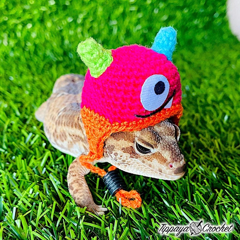 May include: A gecko wearing a handmade crochet hat. The hat is primarily hot pink with orange, green, and blue accents, and features a large, cartoonish eye. The gecko is resting on a bed of green grass.