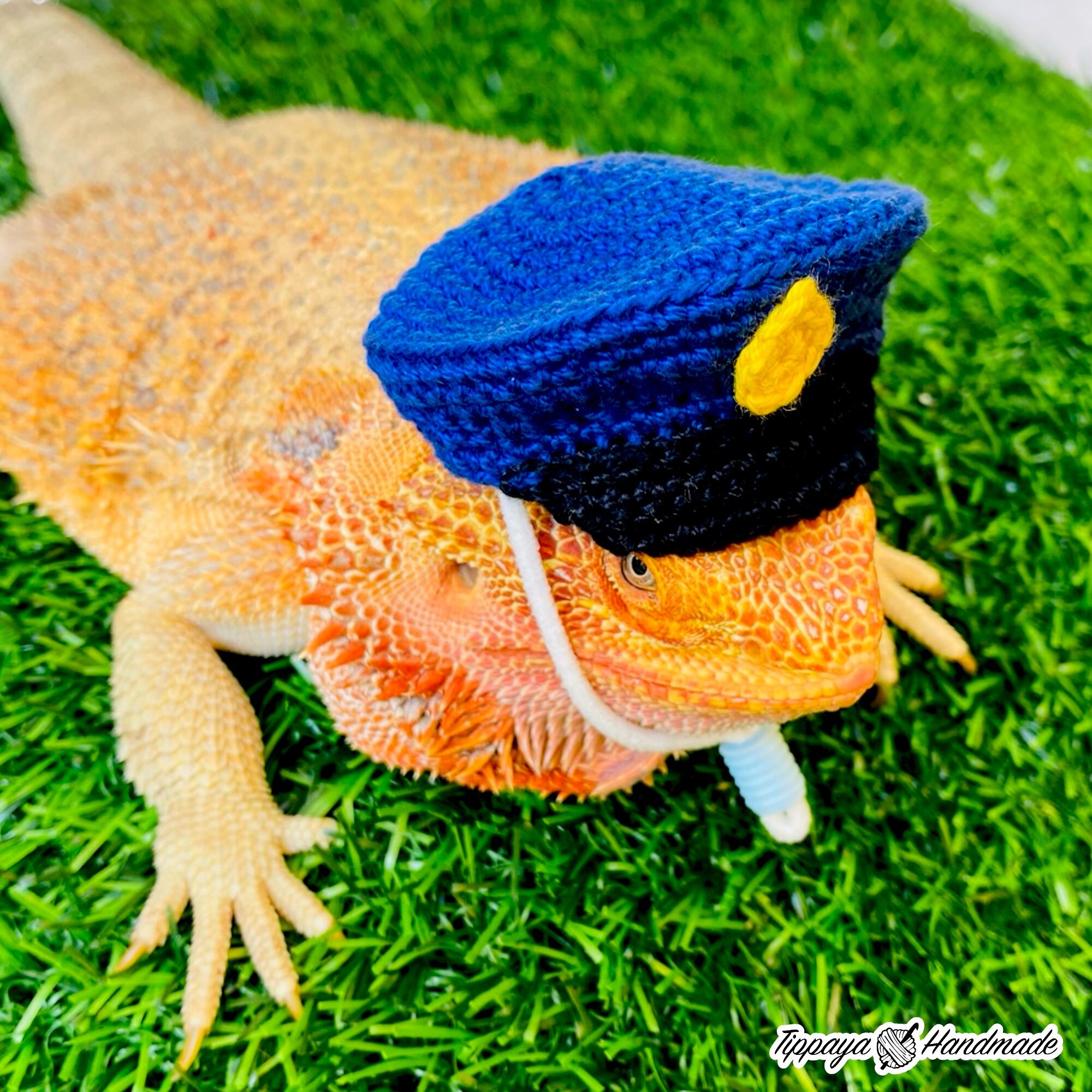 Crochet Headband Pattern for Bearded Dragon Set 4 - Etsy