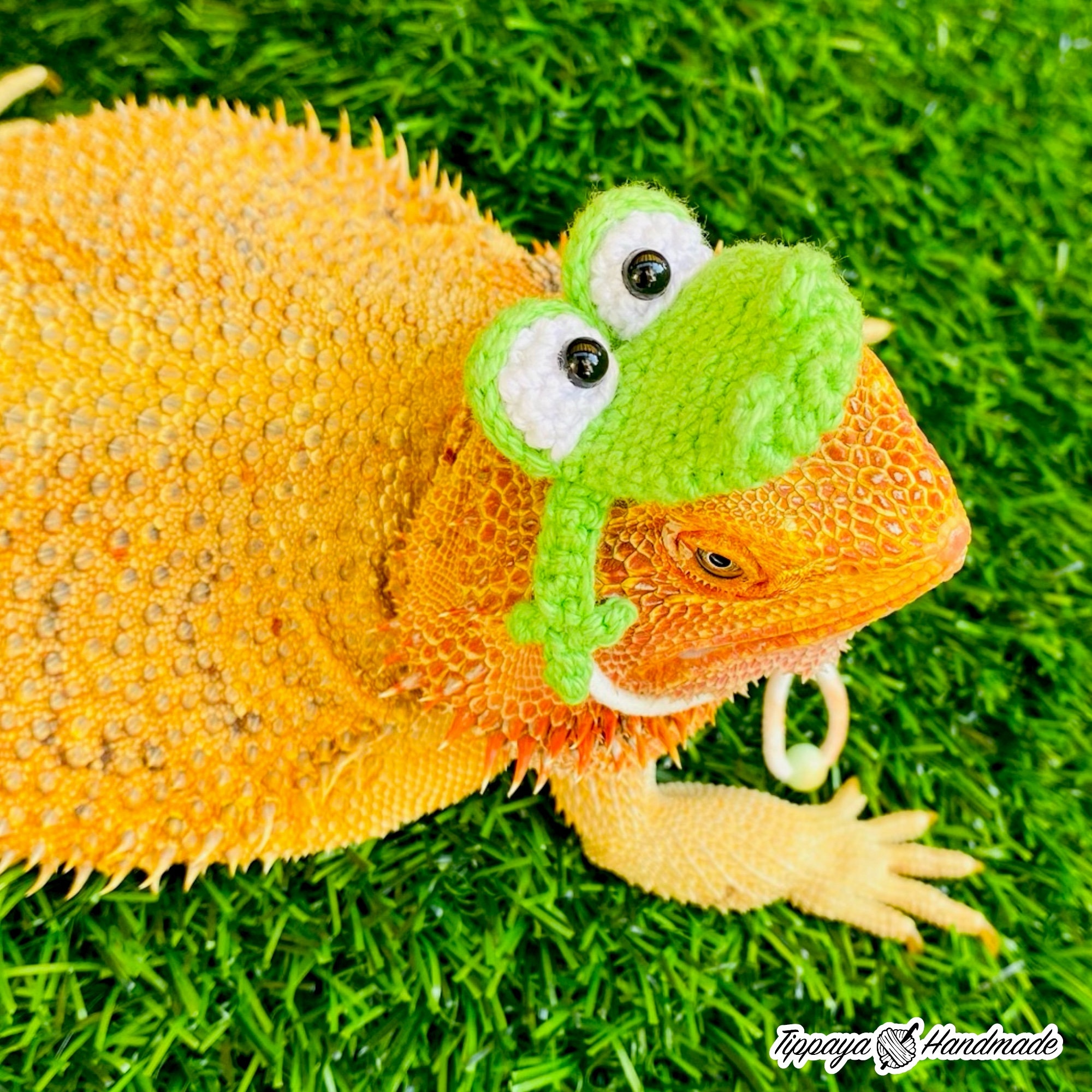 Crochet Headband Pattern for Bearded Dragon Set 4 - Etsy