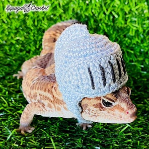 May include: A leopard gecko wearing a light blue crocheted knight's helmet, set against a backdrop of green grass. The helmet has black vertical lines. The image includes the text "Tippaya Crochet".