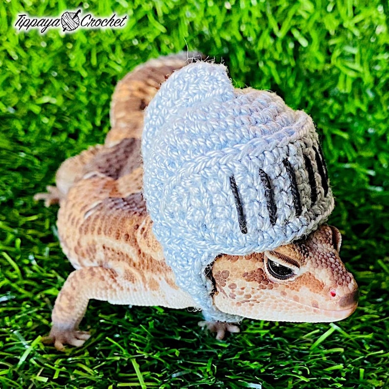 May include: A leopard gecko wearing a light blue crocheted knight's helmet, set against a backdrop of green grass. The helmet has black vertical lines. The image includes the text "Tippaya Crochet".