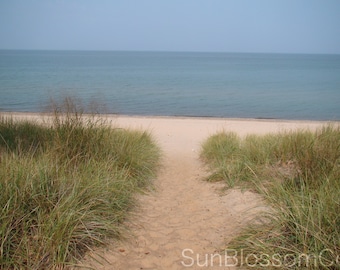 May include: A sandy path leads through tall green grass to a beach with blue water in the distance.