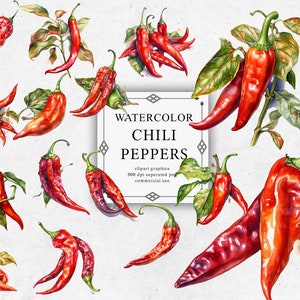 20 Chili Pepper Clipart Set in Transparent PNG - Chili Pepper Watercolor Digital Image Downloads for Card Making, Scrapbook, Junk Journal