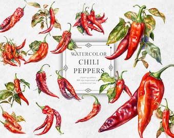20 Chili Pepper Clipart Set in Transparent PNG - Chili Pepper Watercolor Digital Image Downloads for Card Making, Scrapbook, Junk Journal