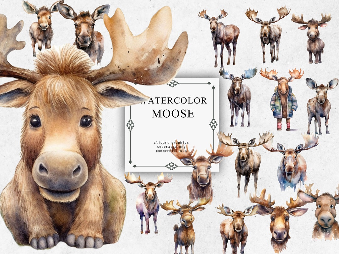 Moose Clipart Set in Transparent PNG - Moose Watercolor Digital Image ...