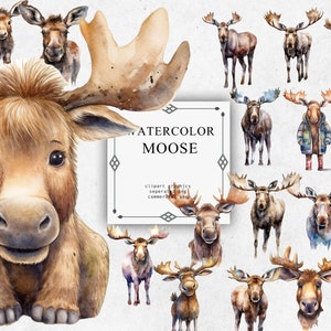 Moose Clipart Set en PNG transparente - Descargas de imágenes digitales de acuarela de alce para la fabricación de tarjetas, álbum de recortes