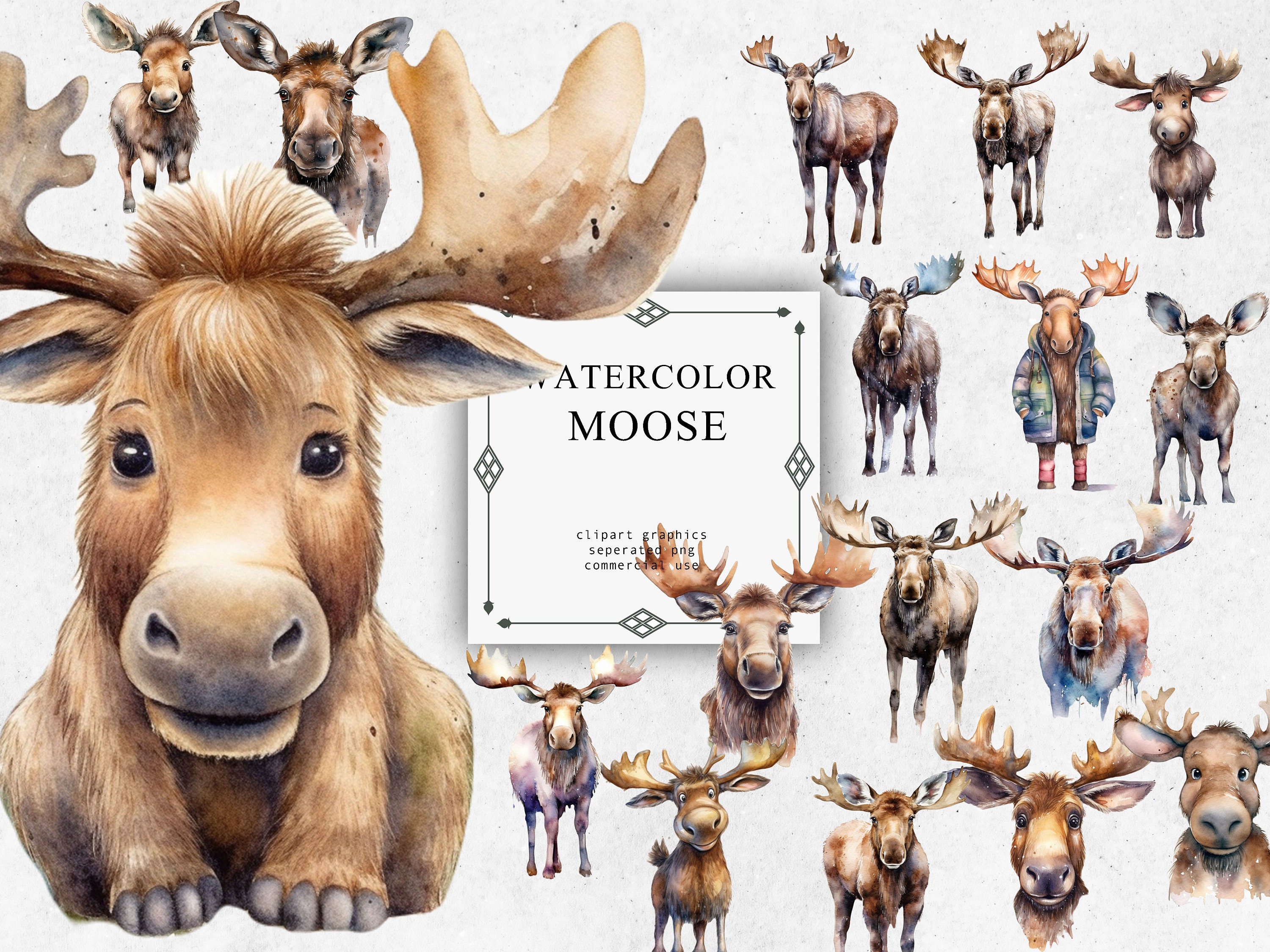 Moose Clipart Set in Transparent PNG - Moose Watercolor Digital Image ...