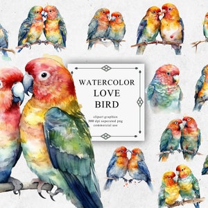 14 Love Birds Clipart Set in Transparent PNG - Digital Image Downloads for Card Making, Scrapbook, Junk Journal, Paper Crafts