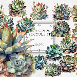 Succulent Clipart Set in Transparent PNG - Succulent Watercolor Digital Image Downloads for Card Making, Scrapbook