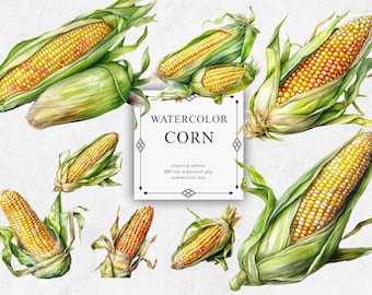 20 Corn Clipart Set in Transparent PNG - Corn Watercolor Digital Image Downloads for Card Making, Scrapbook, Junk Journal, Paper
