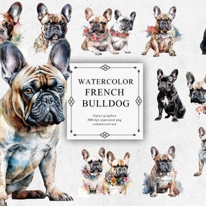 19 Akwarele Buldog Francuski Clipart - Cyfrowy PNG Buldog Francuski. Buldog Francuski PNG Przezroczysty 2023 Nowa Kolekcja