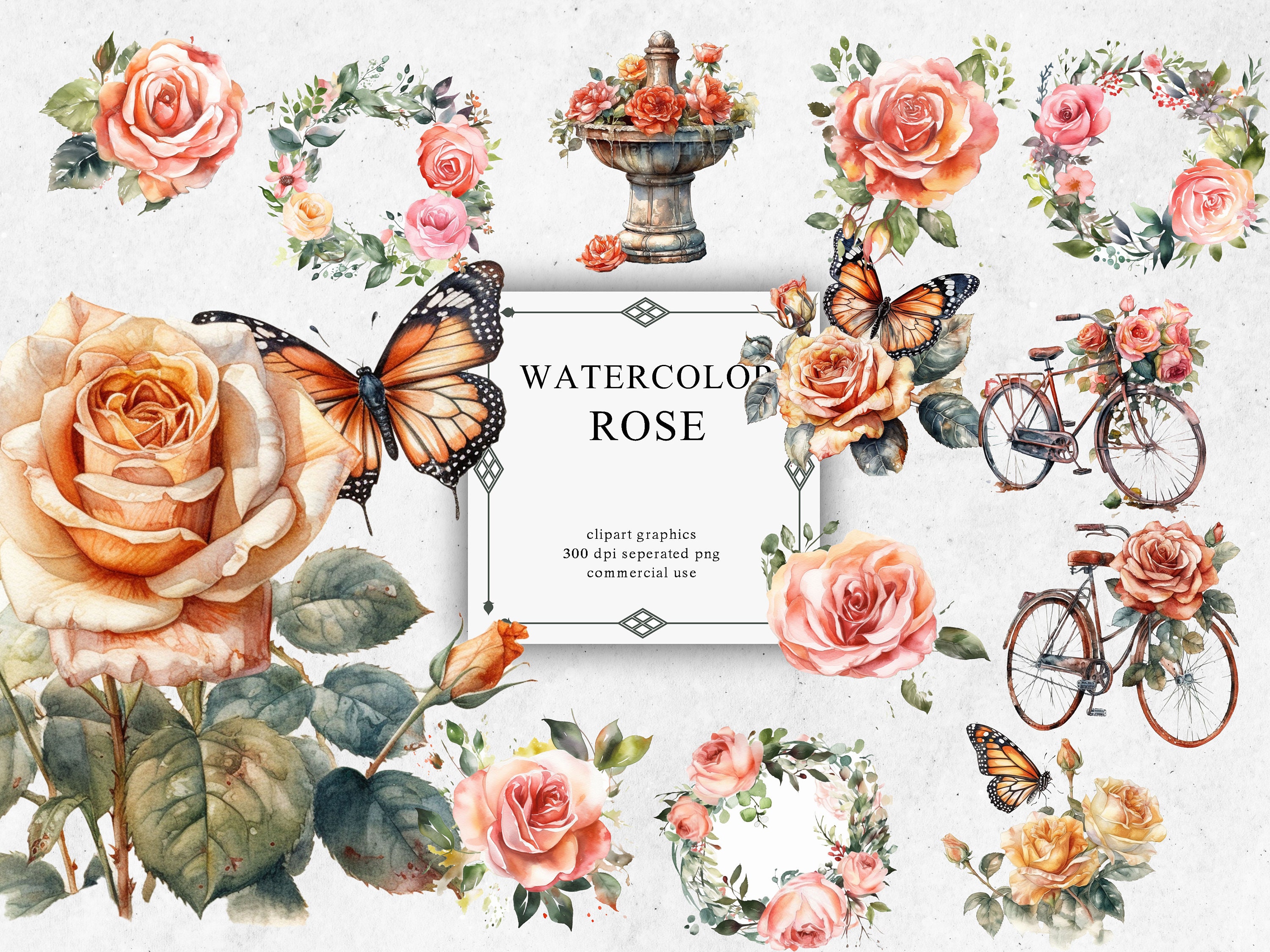 15 Rose Clipart Set in Transparent PNG - Roses Watercolor Digital Image ...