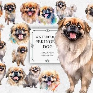 Pekingese Clipart Set in Transparent PNG - Pekingese Watercolor Digital Image Downloads for Card Making, Scrapbook