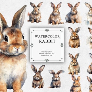 19 Kaninchen-Clipart-Set in transparenten PNG - Aquarell digitale Bild-Downloads für die Kartenherstellung, Scrapbook, Junk Journal, Papierhandwerk