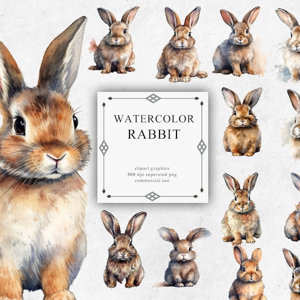 19 Rabbit Clipart Set in Transparent PNG - Watercolor Digital Image Downloads for Card Making, Scrapbook, Junk Journal, Paper Crafts