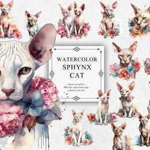 18 Sphynx Cat Clipart Set in Transparent PNG - Sphynx Cat Watercolor Digital Image Downloads for Card Making, Scrapbook, Junk Journal