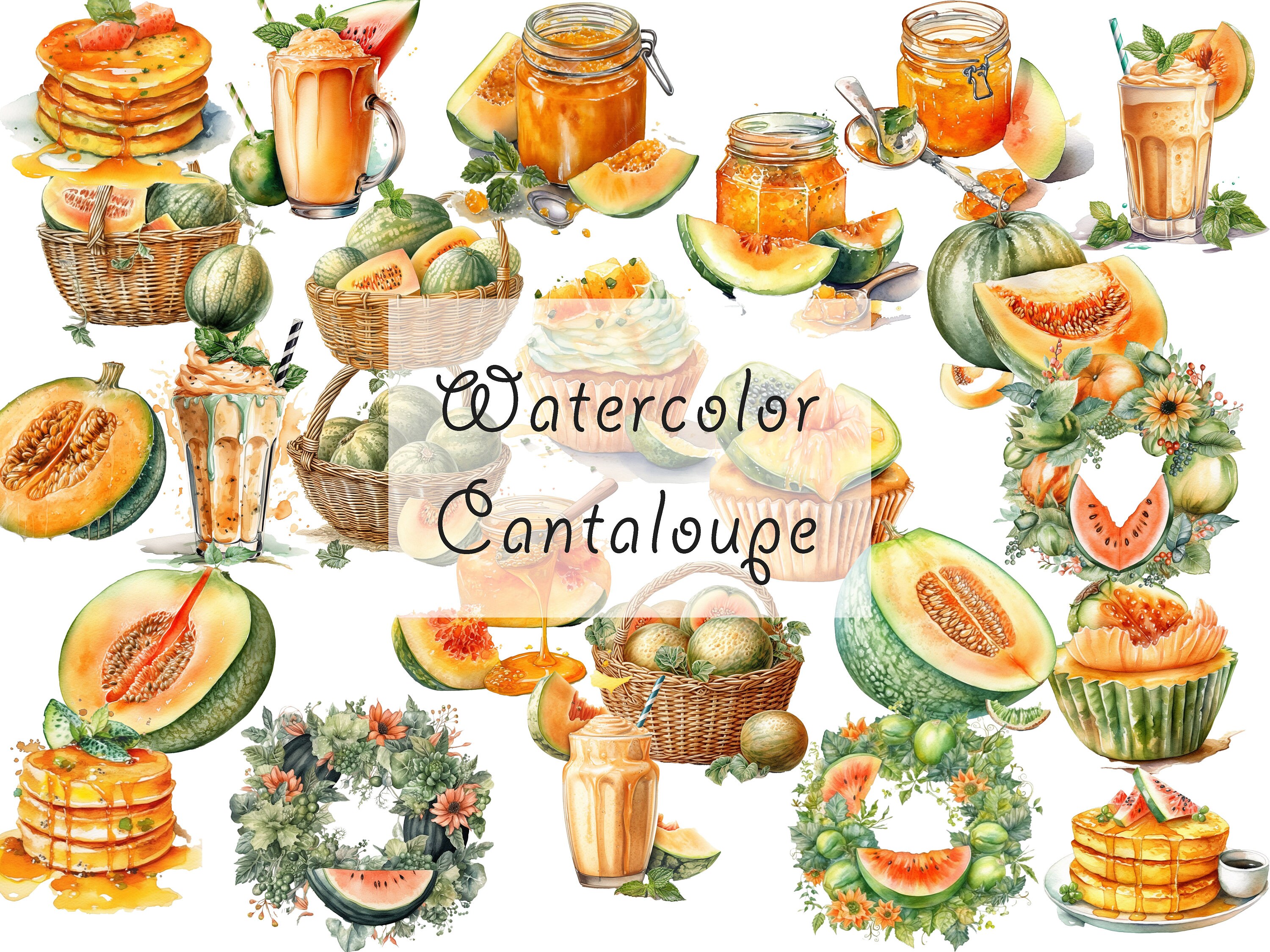 Watercolor Cantaloupe Clipart - Digital PNG Melon jar, Cantaloupe pancake, Cantaloupe cupcake, Melon milkshare, Cantaloupe basket