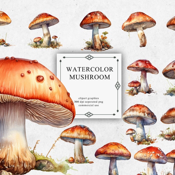 22 Mushroom Clipart Set in Transparent PNG - Watercolor Digital Image Downloads for Card Making, Scrapbook, Junk Journal, Paper Crafts