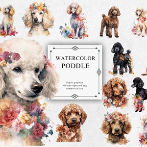 27 Poddle Clipart Set en PNG transparente - Descargas de imágenes digitales de acuarela para hacer tarjetas, álbumes de recortes, diarios basura, manualidades de papel