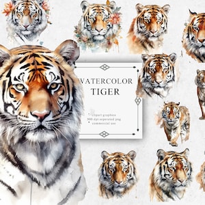10 Tiger Clipart Set in Transparent PNG - Tiger Watercolor Digital Image Downloads for Card Making, Scrapbook, Junk Journal, Paper