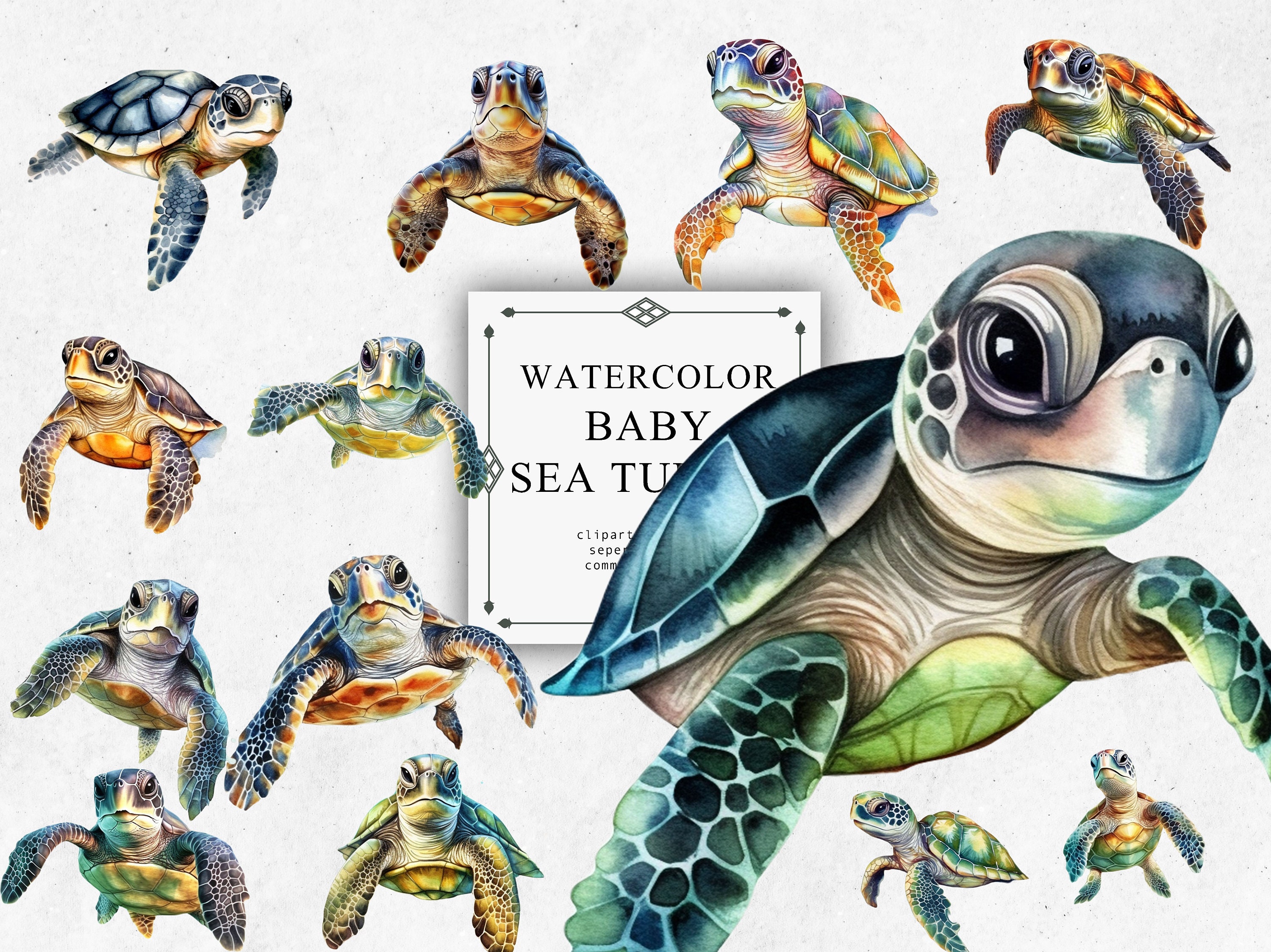 Baby Sea Turtle Clipart Set in Transparent PNG - Baby Sea Turtle ...