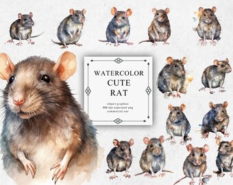 23 Watercolor Rat Clipart - Digital PNG Rat. Rat PNG Transparent 2023 New Collection