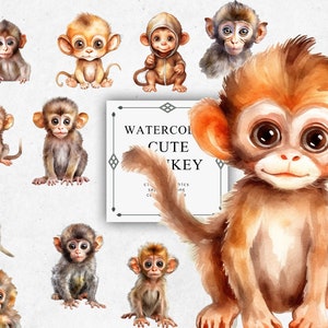 Baby Monkey Clipart Set in Transparent PNG - Baby Monkey Watercolor Digital Image Downloads for Card Making, Scrapbook