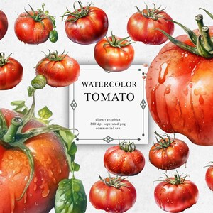 30 pegatinas de tomate de acuarela en PNG transparente - Descargas de imágenes digitales para la fabricación de tarjetas, álbumes de recortes, diarios basura, manualidades de papel