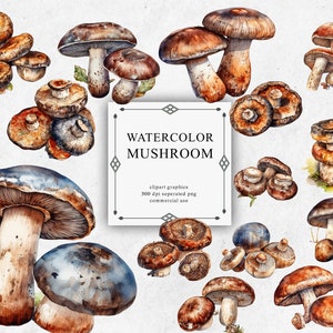 20 Mushroom Clipart Set in Transparent PNG - Mushroom Watercolor Digital Image Downloads for Card Making, Scrapbook, Junk Journal, Paper