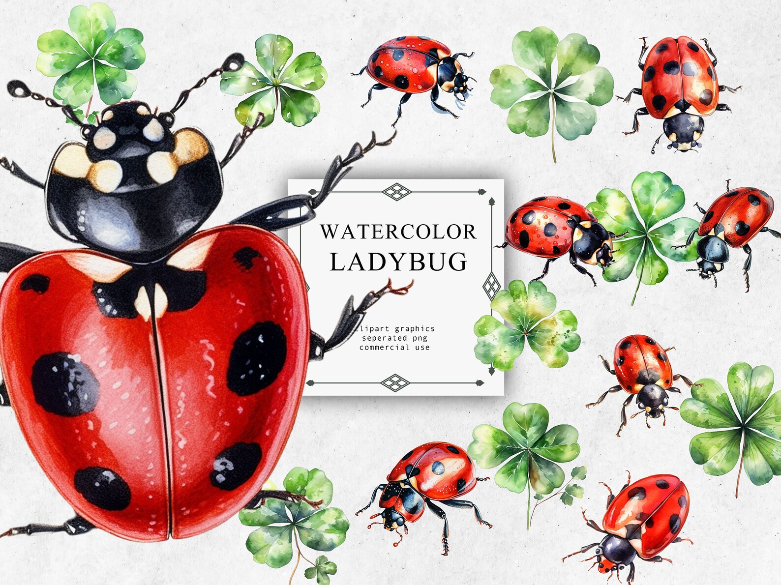 Ladybug Clipart Set in Transparent PNG - Ladybug Watercolor Digital ...