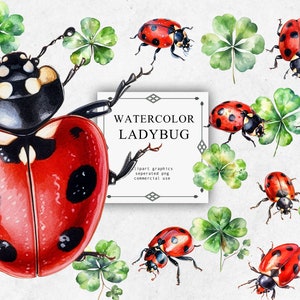 Set di clipart coccinella in PNG trasparente - Download di immagini digitali dell'acquerello coccinella per la creazione di cartoline, album di ritagli, diario spazzatura