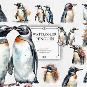 23 Penguin Couples Clipart Set en PNG transparente - Descargas de imágenes digitales de acuarela para hacer tarjetas, álbumes de recortes, diarios basura, papel