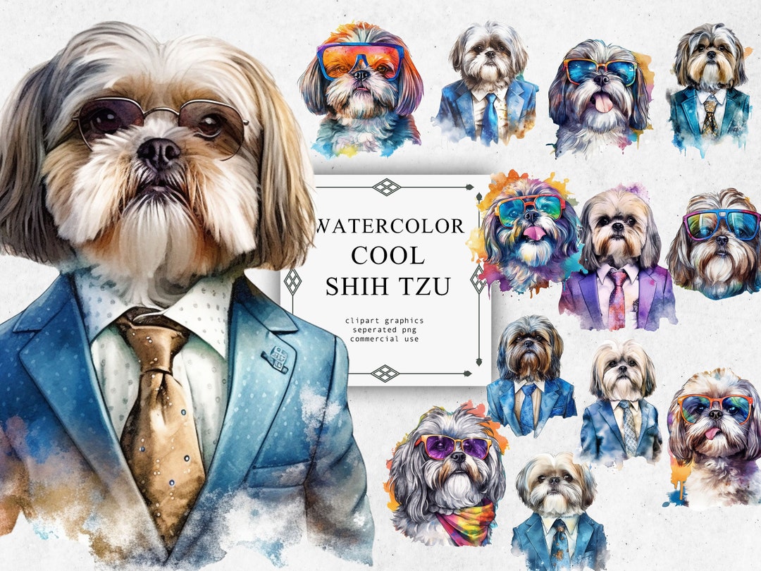 Shih Tzu Dog Clipart Set in Transparent PNG - Shih Tzu Dog Watercolor ...