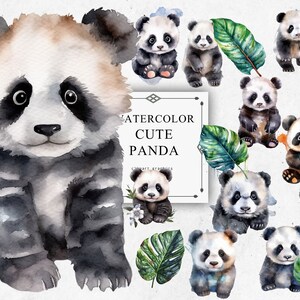 Ensemble de cliparts panda en PNG transparent - téléchargements d'images numériques aquarelle panda pour la fabrication de cartes, scrapbooking