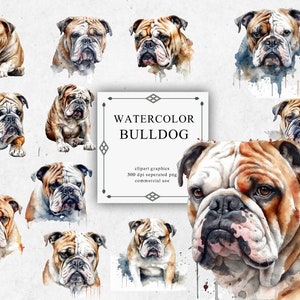 19 Watercolor Bulldog Clipart - Digital PNG Bulldog. Bulldog PNG Transparent 2023 New Collection