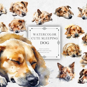 16 Watercolor Sleeping Dog Clipart - Digital PNG Sleeping Dog. Sleeping Dog PNG Transparent 2023 New Collection