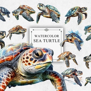 16 Sea Turtles Clipart Set in Transparent PNG - Sea Turtles Watercolor Digital Image Downloads for Card Making, Scrapbook, Junk Journal