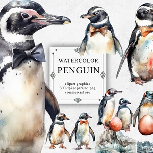 44 Penguin Bow Tie Clipart Set in PNG trasparente - Download di immagini digitali ad acquerello per la realizzazione di cartoline, album di ritagli, diario spazzatura, carta