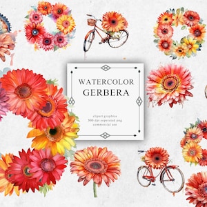 12 Gerbera Clipart Set in Transparent PNG - Gerbera Watercolor Digital Image Downloads for Card Making, Scrapbook, Junk Journal, Paper
