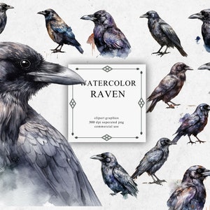 12 Raven Clipart Set in Transparent PNG - Raven Watercolor Digital Image Downloads for Card Making, Scrapbook, Junk Journal, Paper
