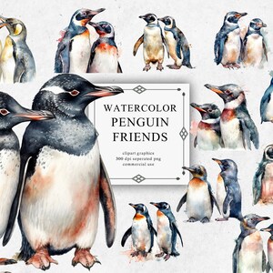 15 imágenes prediseñadas de pareja de pingüinos en PNG transparente - Descargas de imágenes digitales de acuarela para hacer tarjetas, álbumes de recortes, diarios basura, manualidades de papel
