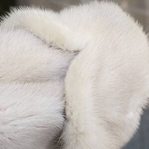 May include: Close-up of a white fur hat with a soft, fluffy texture.