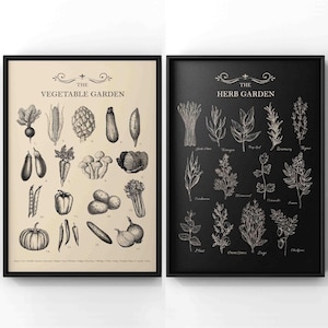 Könnte beinhalten: Zwei schwarze gerahmte Drucke mit weißen Illustrationen eines Gemüsegartens und eines Kräutergartens. Der Gemüsegarten-Druck zeigt Illustrationen verschiedener Gemüsesorten, darunter Karotten, Zwiebeln, Paprika und Tomaten. Der Kräutergarten-Druck zeigt Illustrationen verschiedener Kräuter, darunter Rosmarin, Thymian und Basilikum.